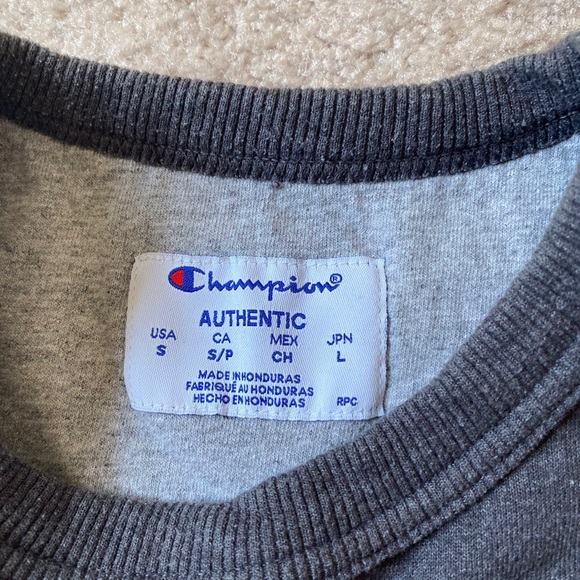 Gray Champion Crewneck - Picture 2 of 3